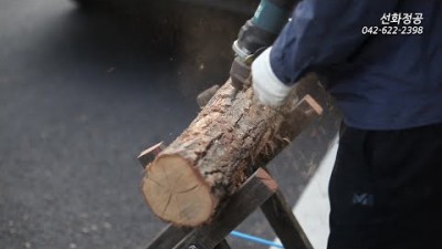 선화정공